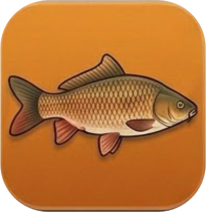 Amur Carp