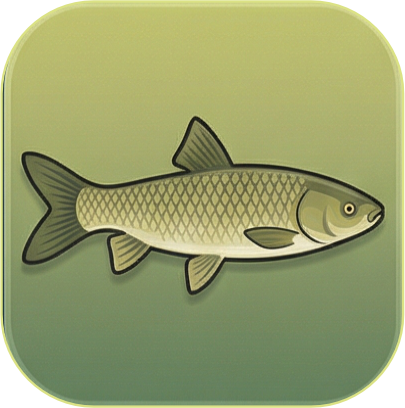 Grass Carp