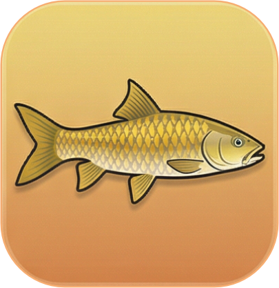 Mahseer