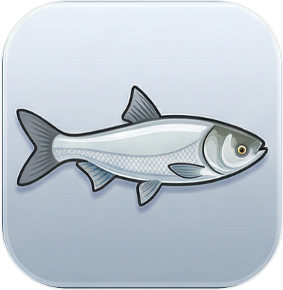 Silver Carp